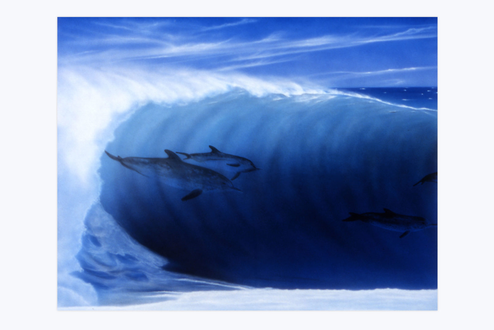 dolphins surfing painting