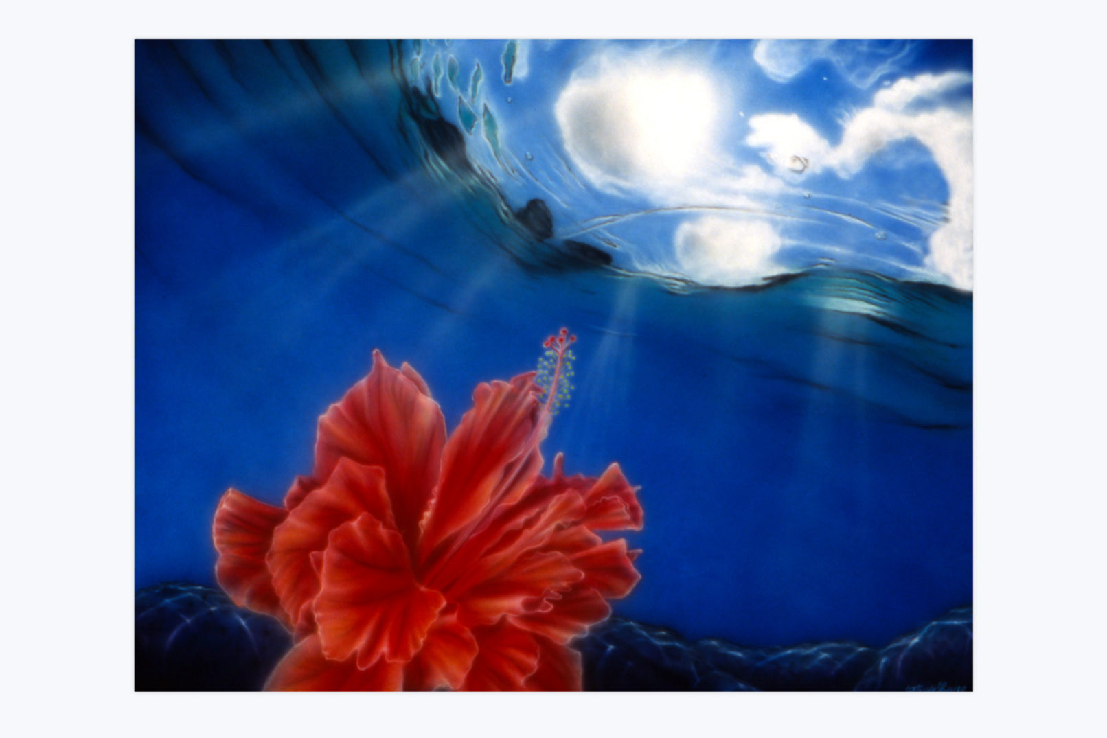 hibiscus under water painting