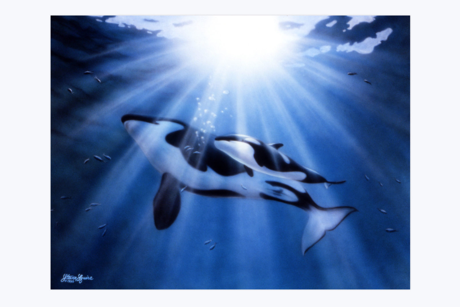 orcas fine art painting