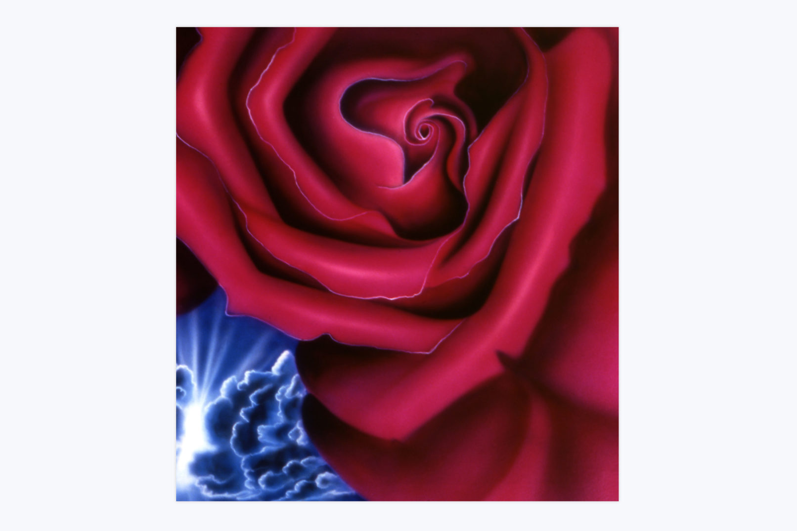 red rose original painting