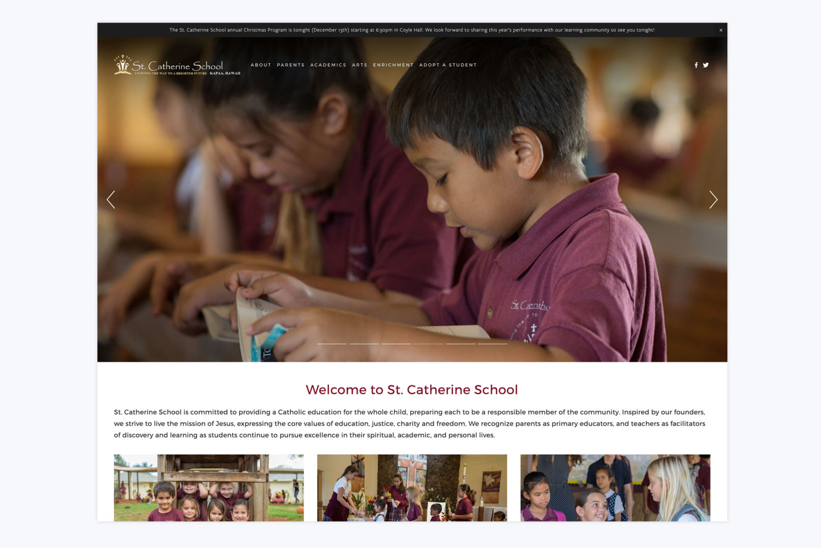 st catherine school website design