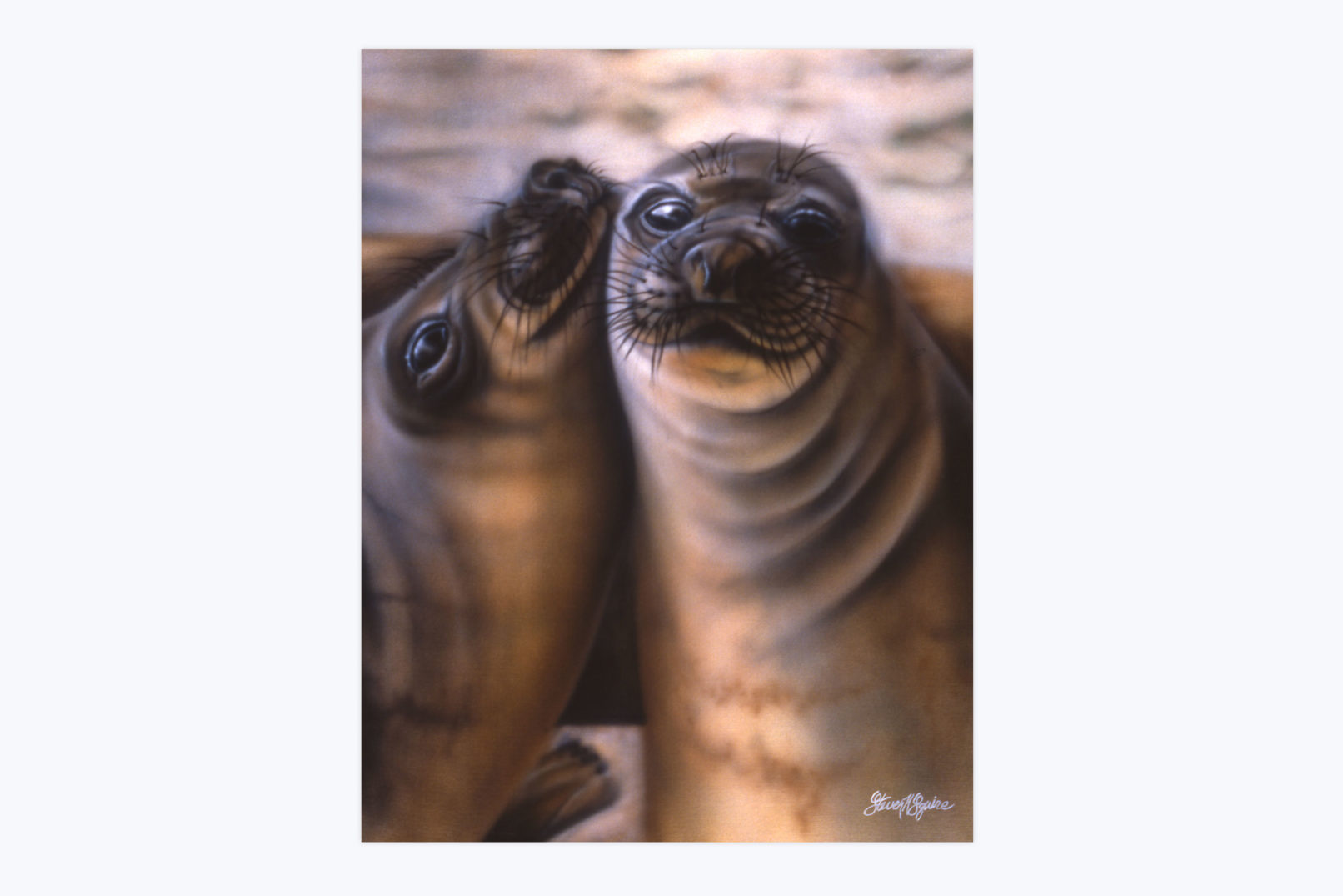 elephant seal pups painting