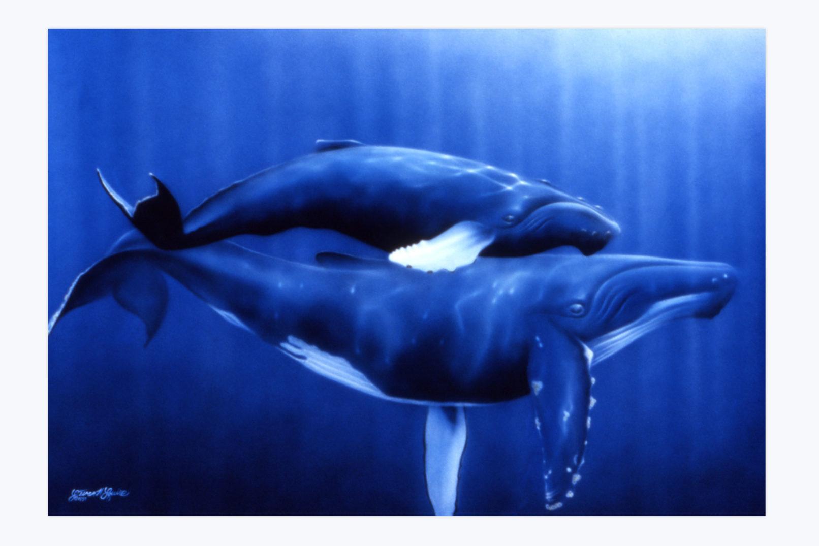 humpback whales original art