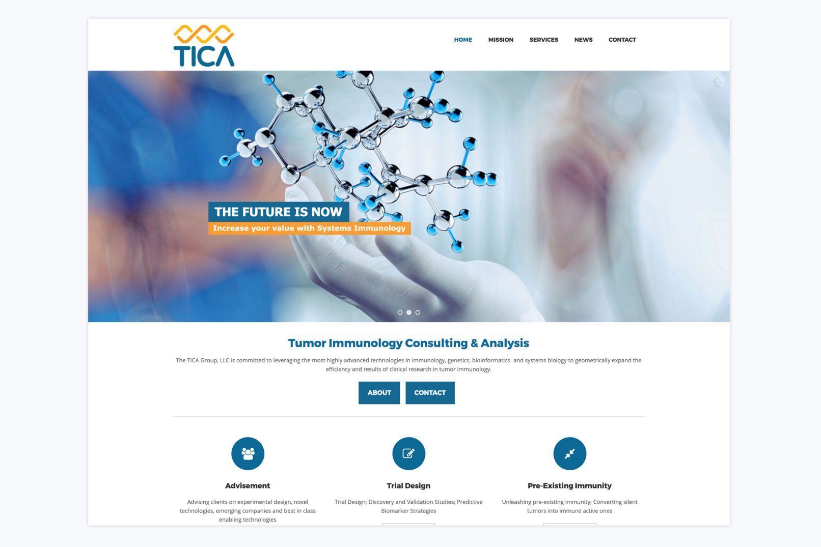 tica group website design